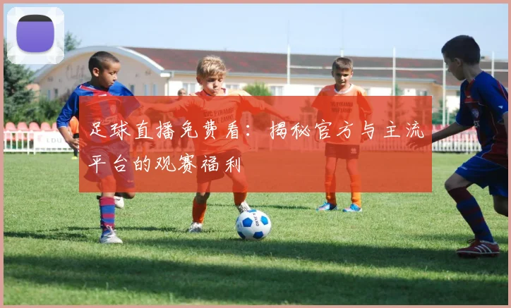 足球直播免费看：揭秘官方与主流平台的观赛福利